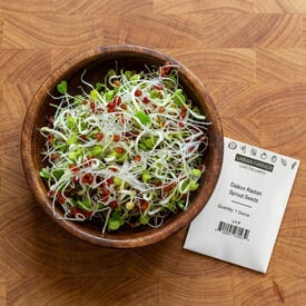 Daikon Radish, Sprout Seeds